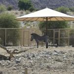 FITS_157 (May 04, 2019)